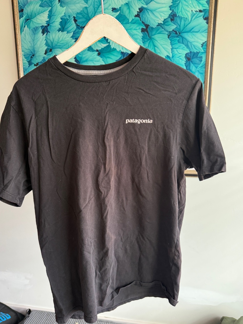 Patagonia T-Shirt